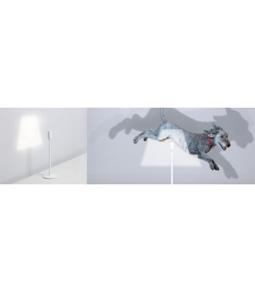 INNERMOST YOY LIGHT