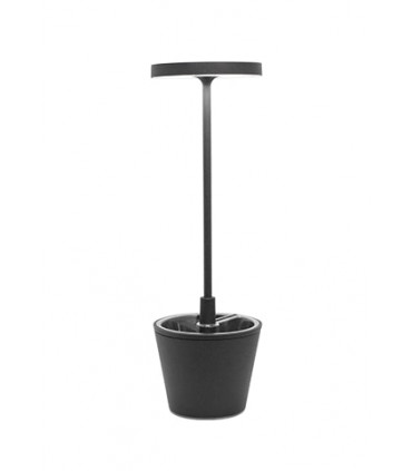 ZAFFERANO POLDINA REVERSO col.antracite