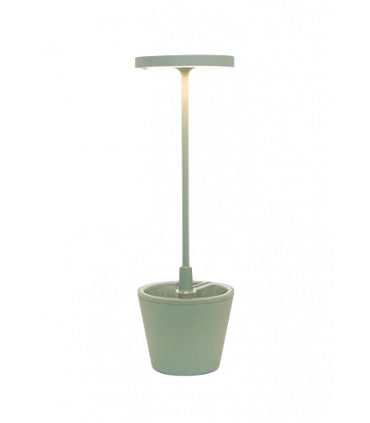 ZAFFERANO POLDINA REVERSO col.salvia